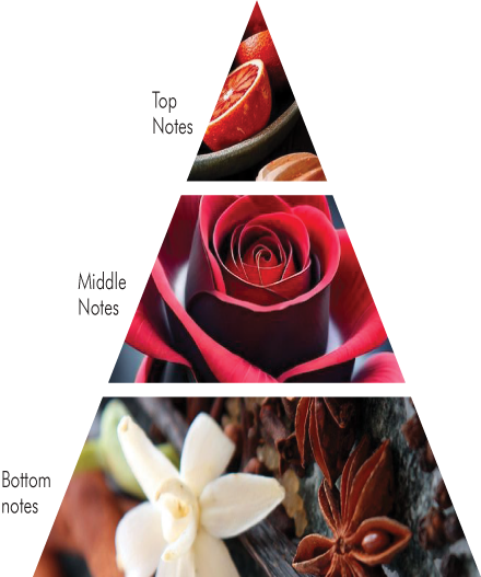 Aroma Delivery System Piramid